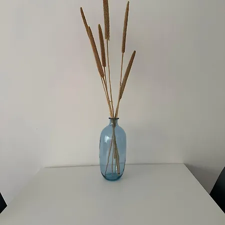 Le Barche66 Venice Μέστρε